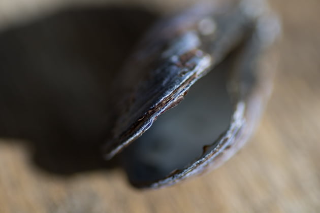 imagem lente canon macro