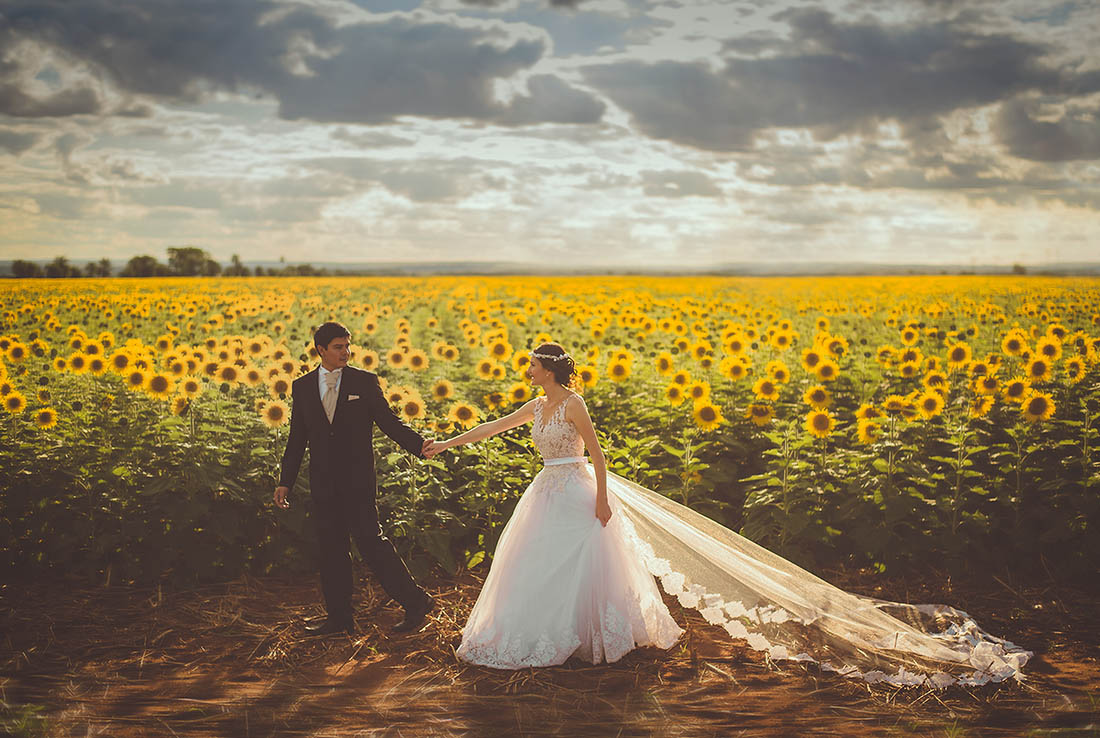 fotografia de casamento campo de girassóis