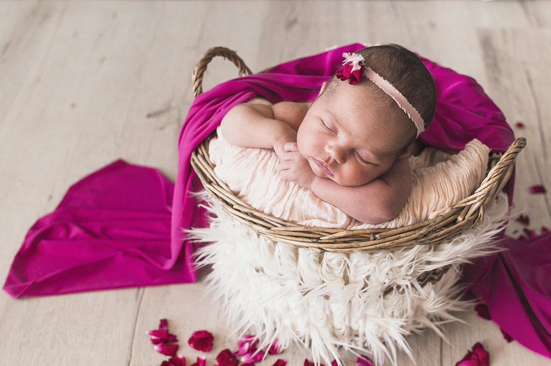 melhores fotos newborn cesto cobertor vermelho