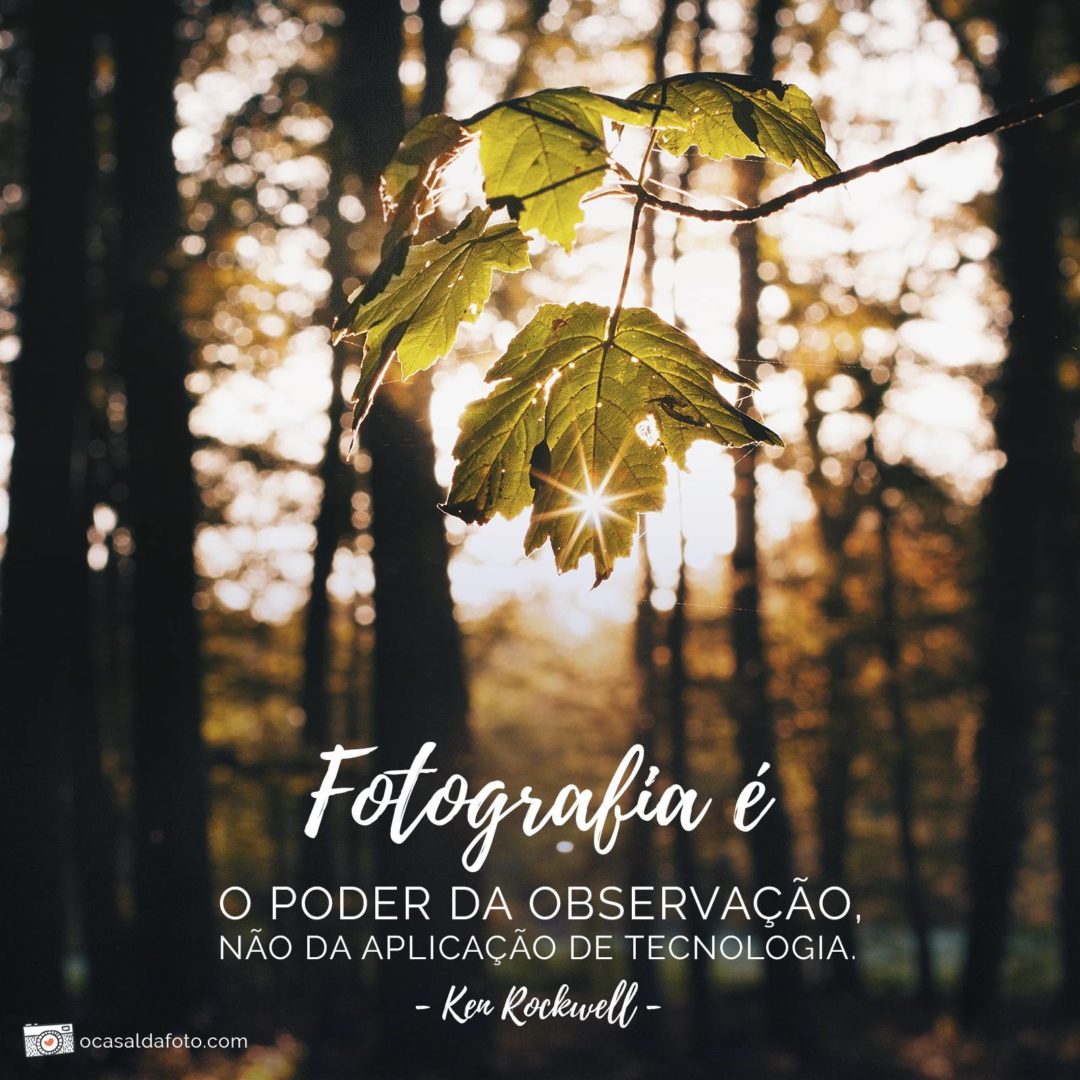 300 Frases Inspiradoras de Fotografia! Frases de Fotógrafos Famosos