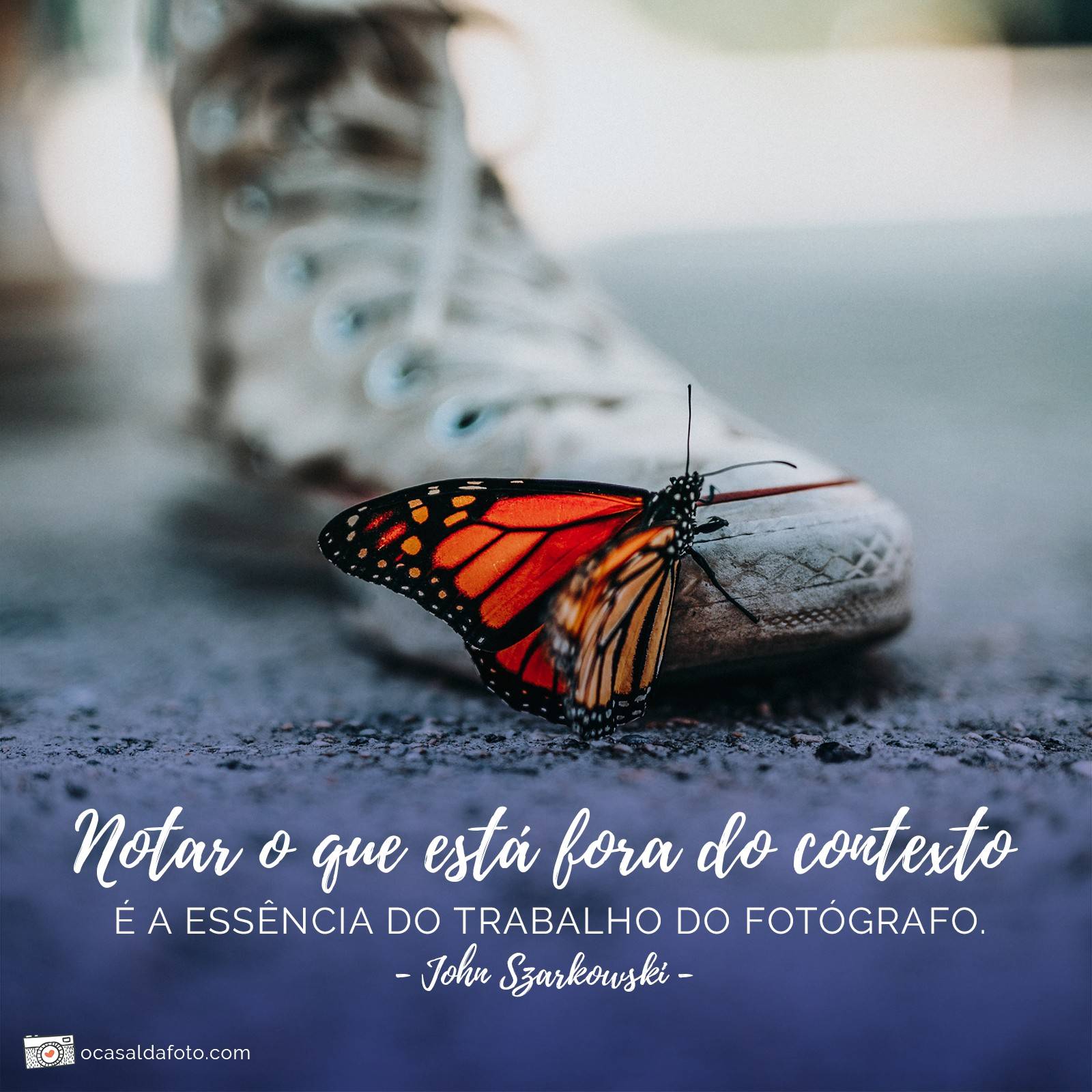 300 Frases Inspiradoras Sobre Fotografia! – Citações de Fotógrafos Famosos  • O Casal da Foto