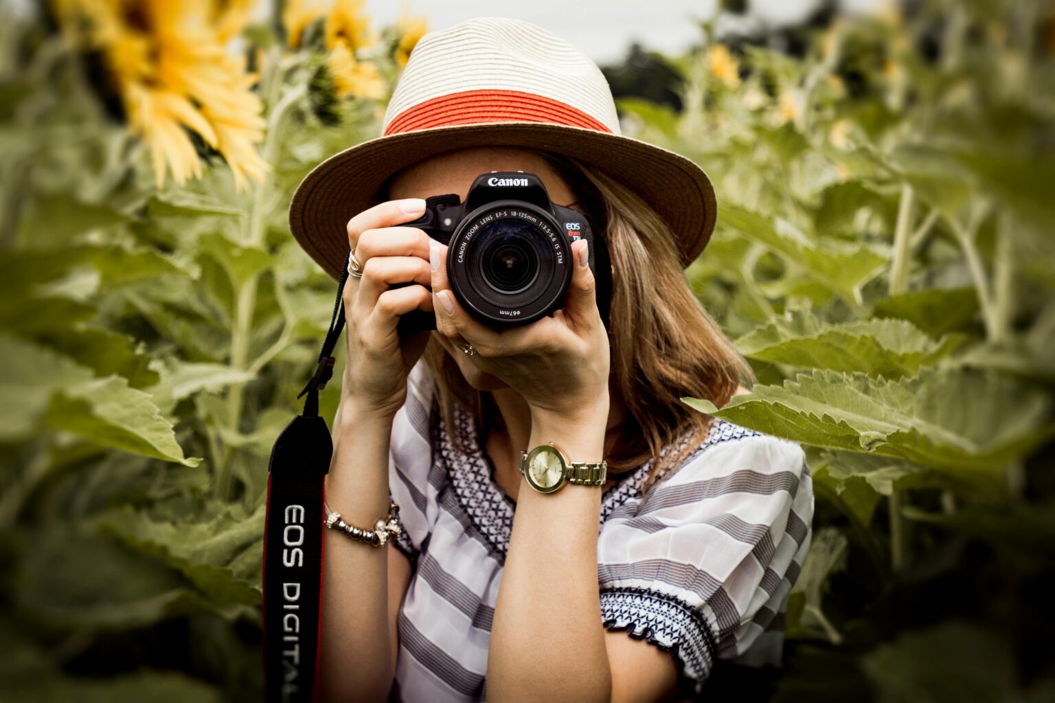Fotografia: Uma Introdução Completa • O Casal da Foto