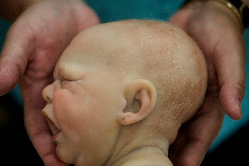 Bonecas Bebês Reborn: Técnica, Afeto e Fotografia Profissional
