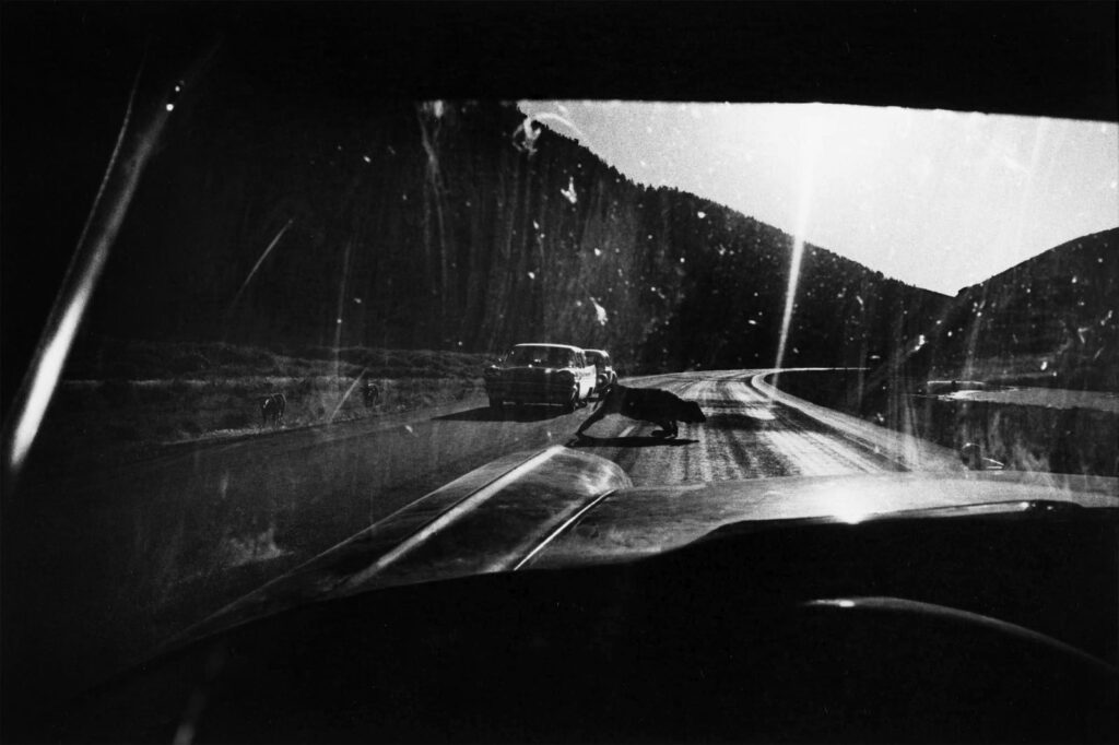 O legado único de Garry Winogrand na fotografia de rua
