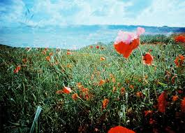 Fotografia Lo-fi: O Que É, Como Fazer e Por Que Está em Alta