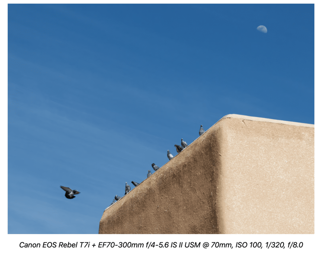 Canon EOS Rebel T7i (EOS 800D): Vale a Pena Comprar?