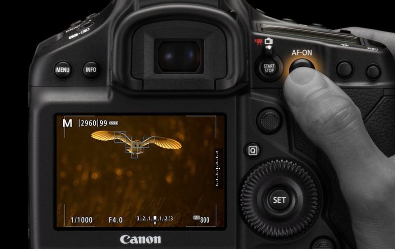 AF: O que é Autofocus e como funciona o autofoco na fotografia