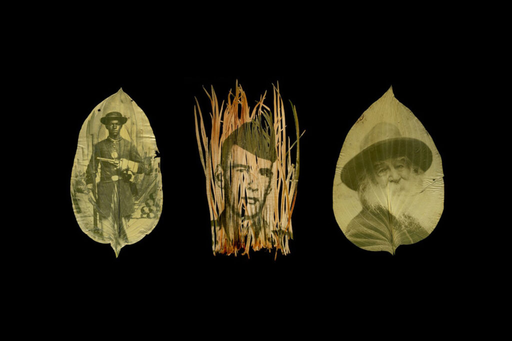 Alternative Processes: o que são os processos fotográficos alternativos?